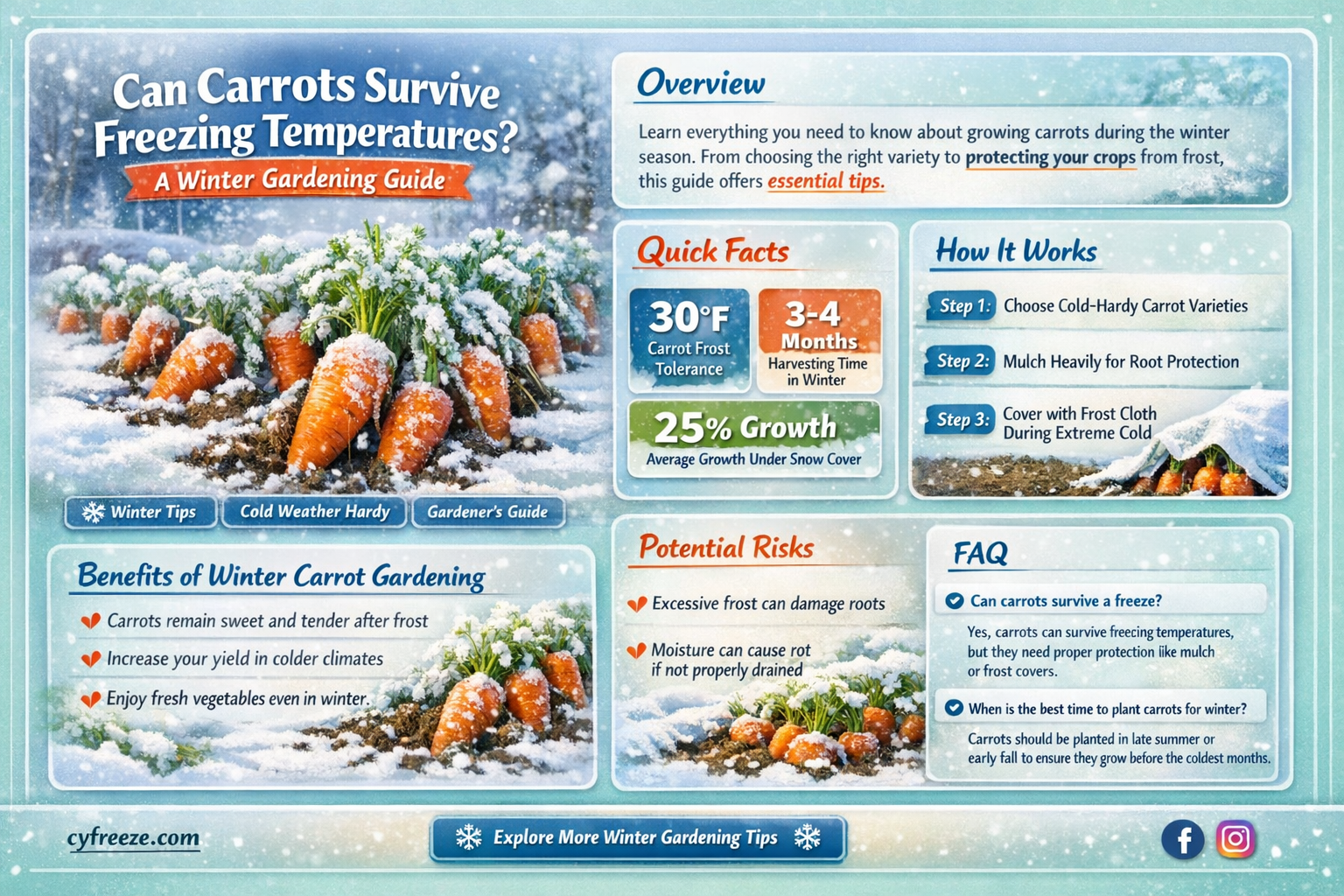 can carrots survive freezing temperatures