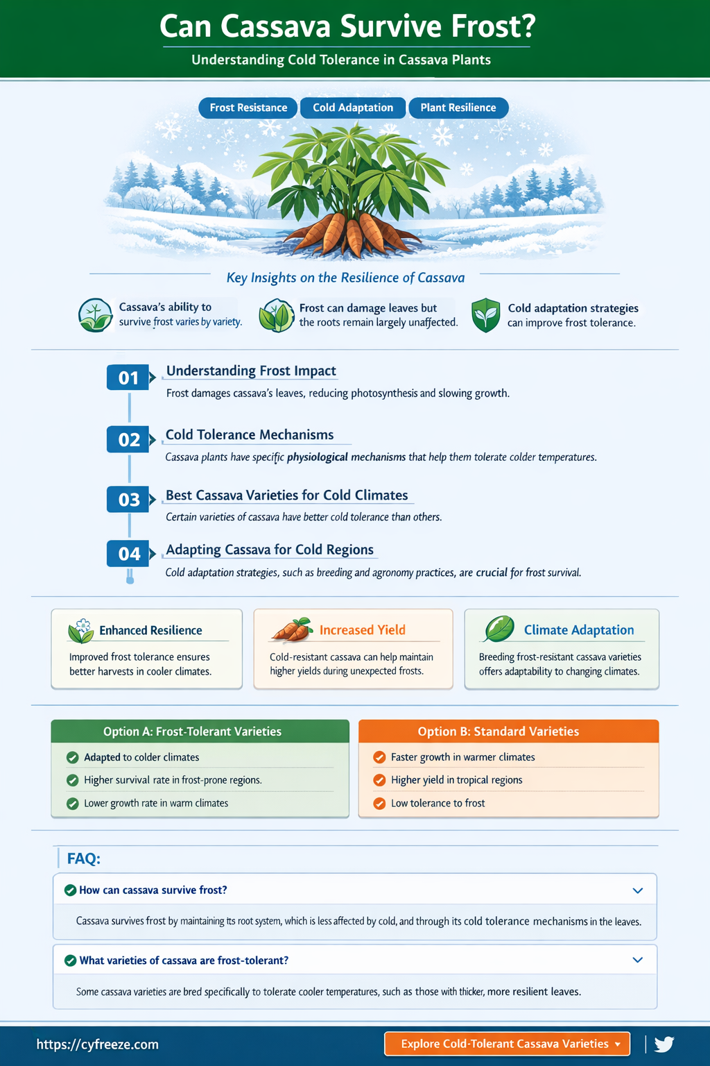 can cassava plants take freezing temperatures