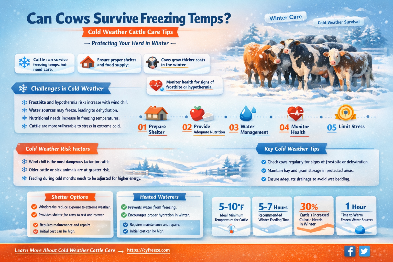 can cows live in freezing temperatures