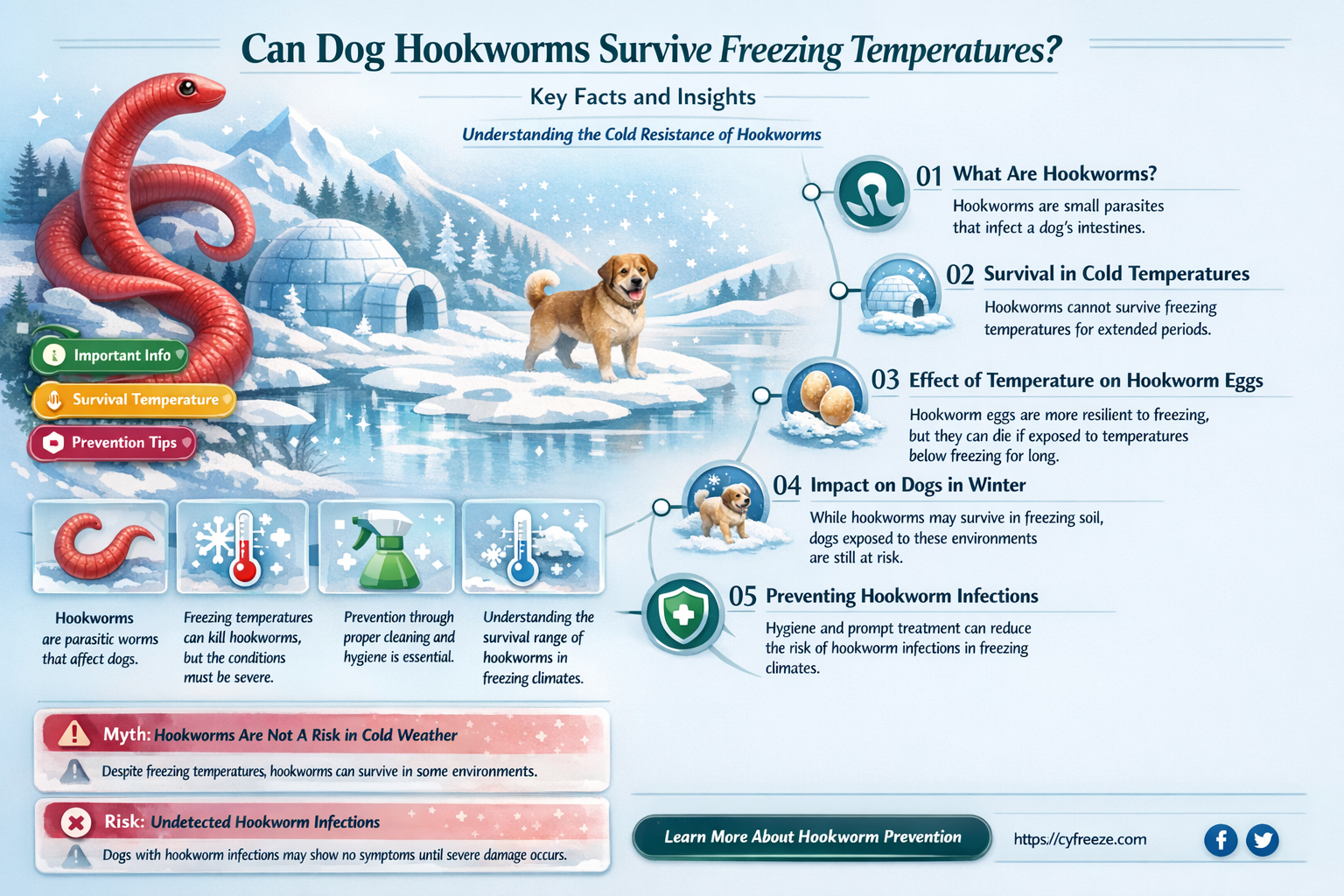 can dog hookworms survive freezing temperatures
