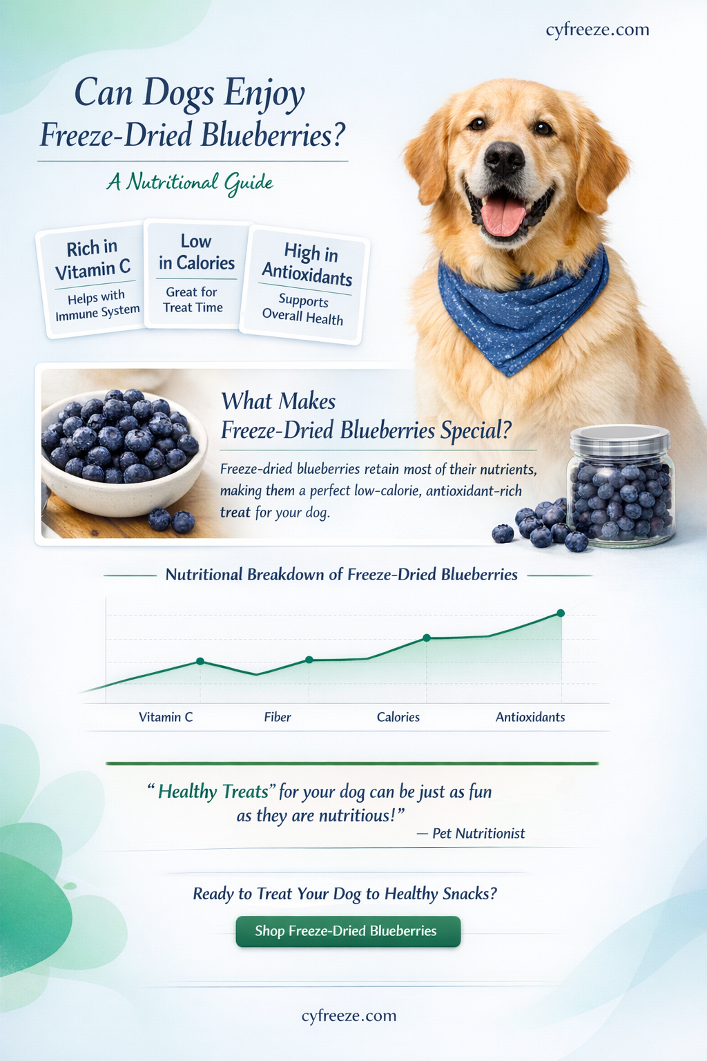 can dogs have freeze dried blueberries