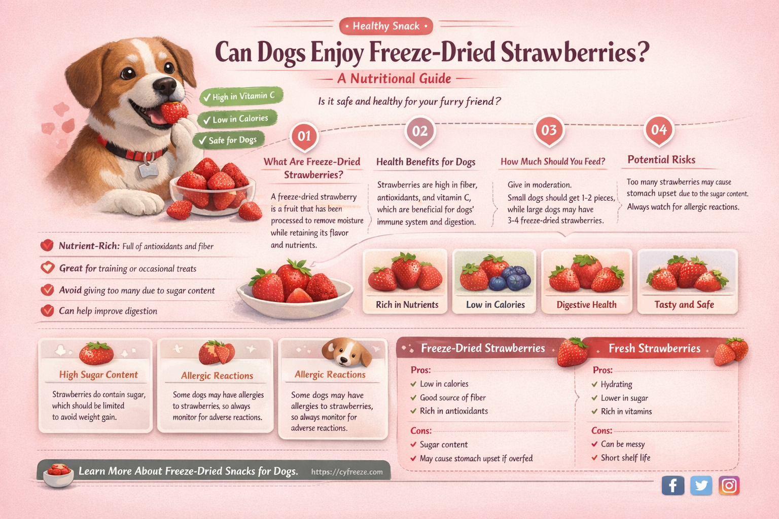 are freeze dried strawberries good for dogs