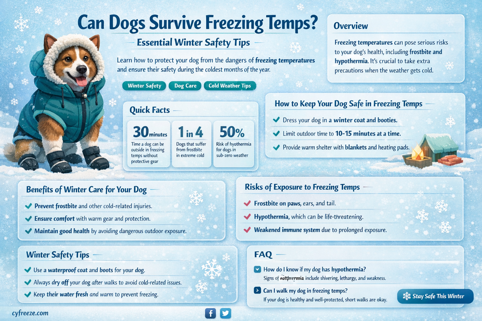 can a dog survive freezing temperatures