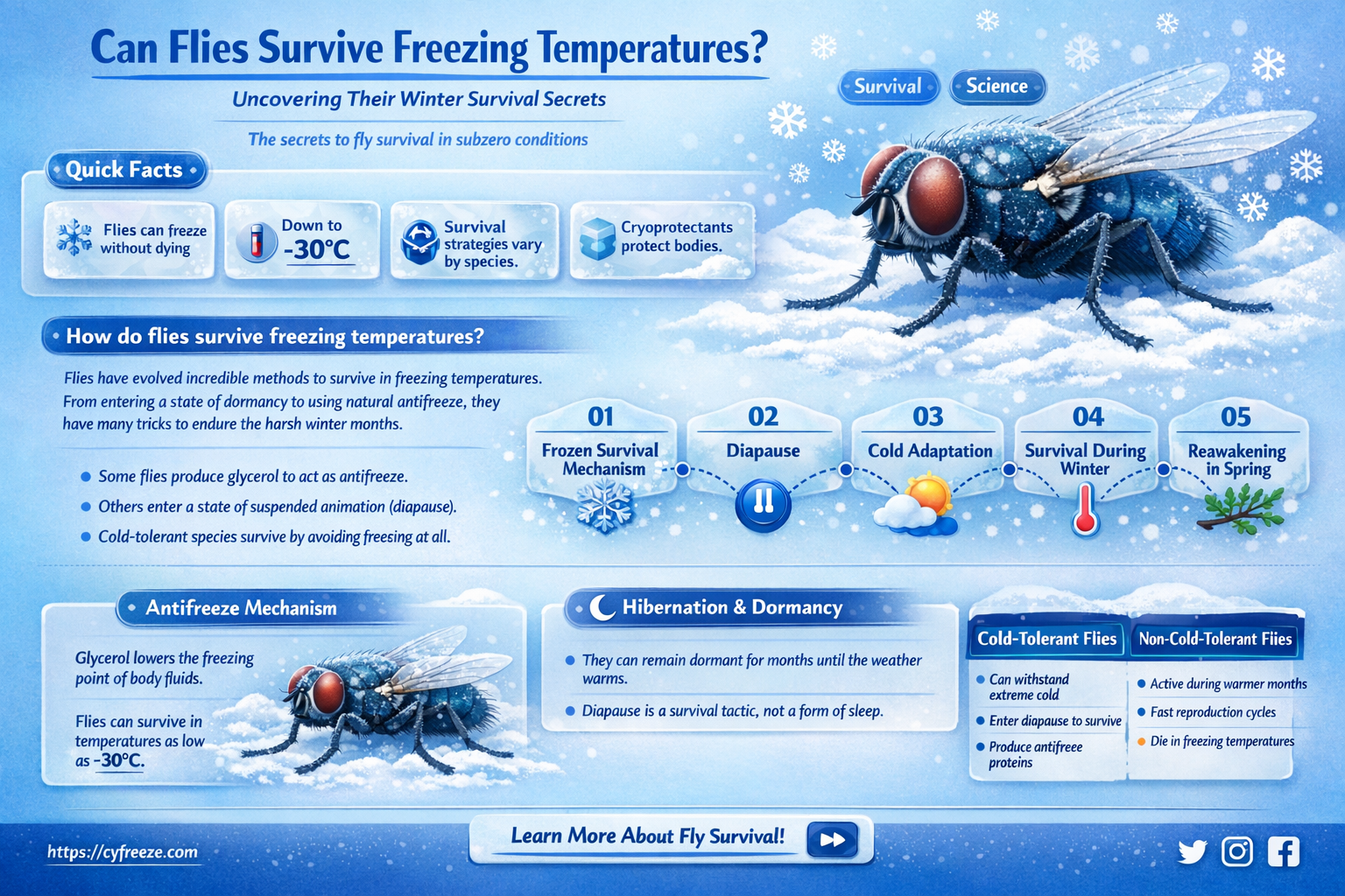 can flies survive freezing temperatures