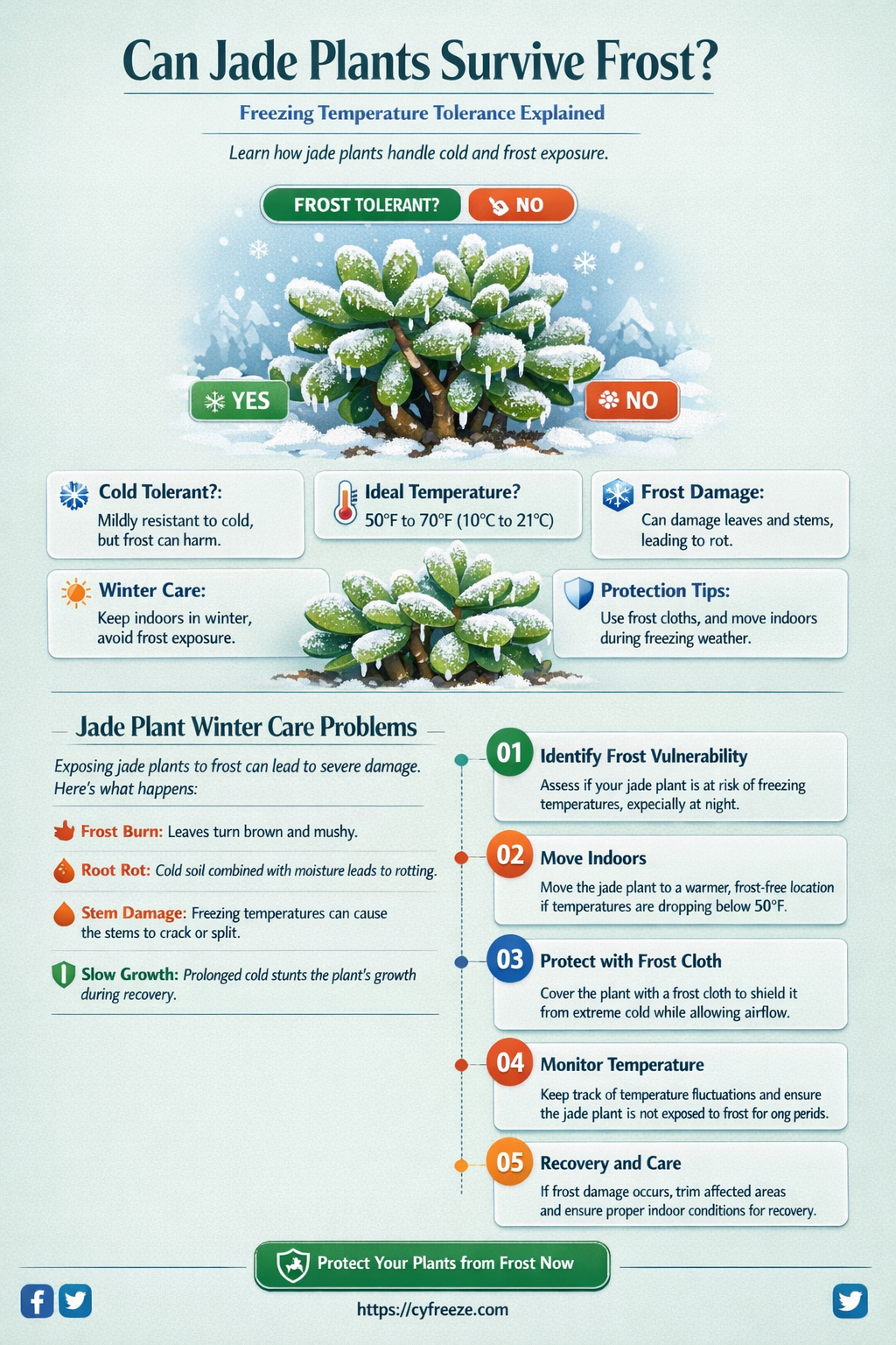 can jade plants withstand freezing temperatures