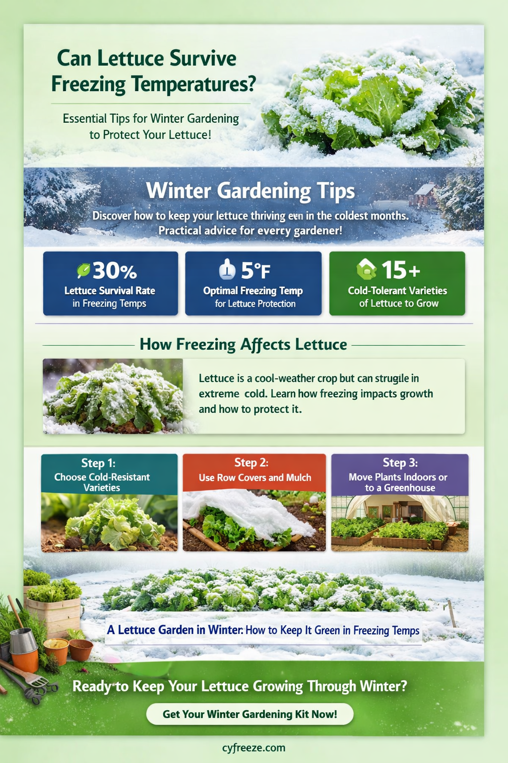 can lettuce survive freezing temperatures