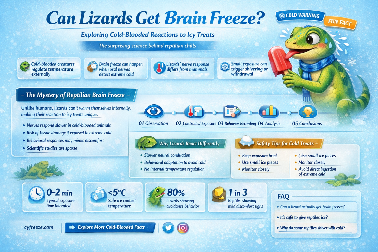 can a lizard get brain freeze