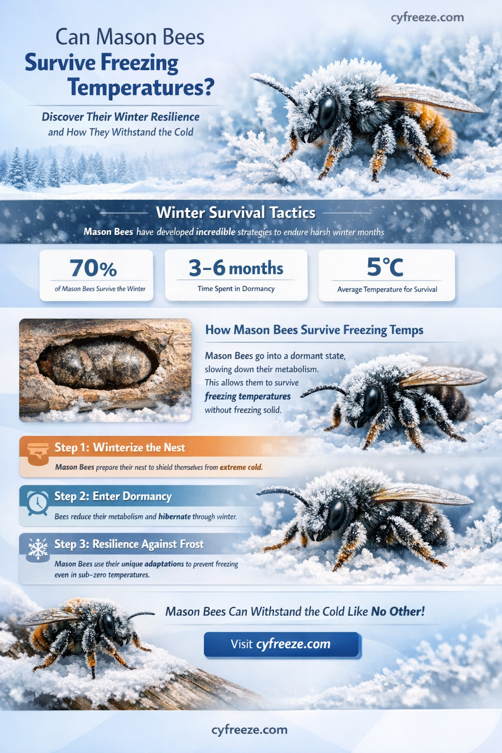 can mason bees take freezing temperatures