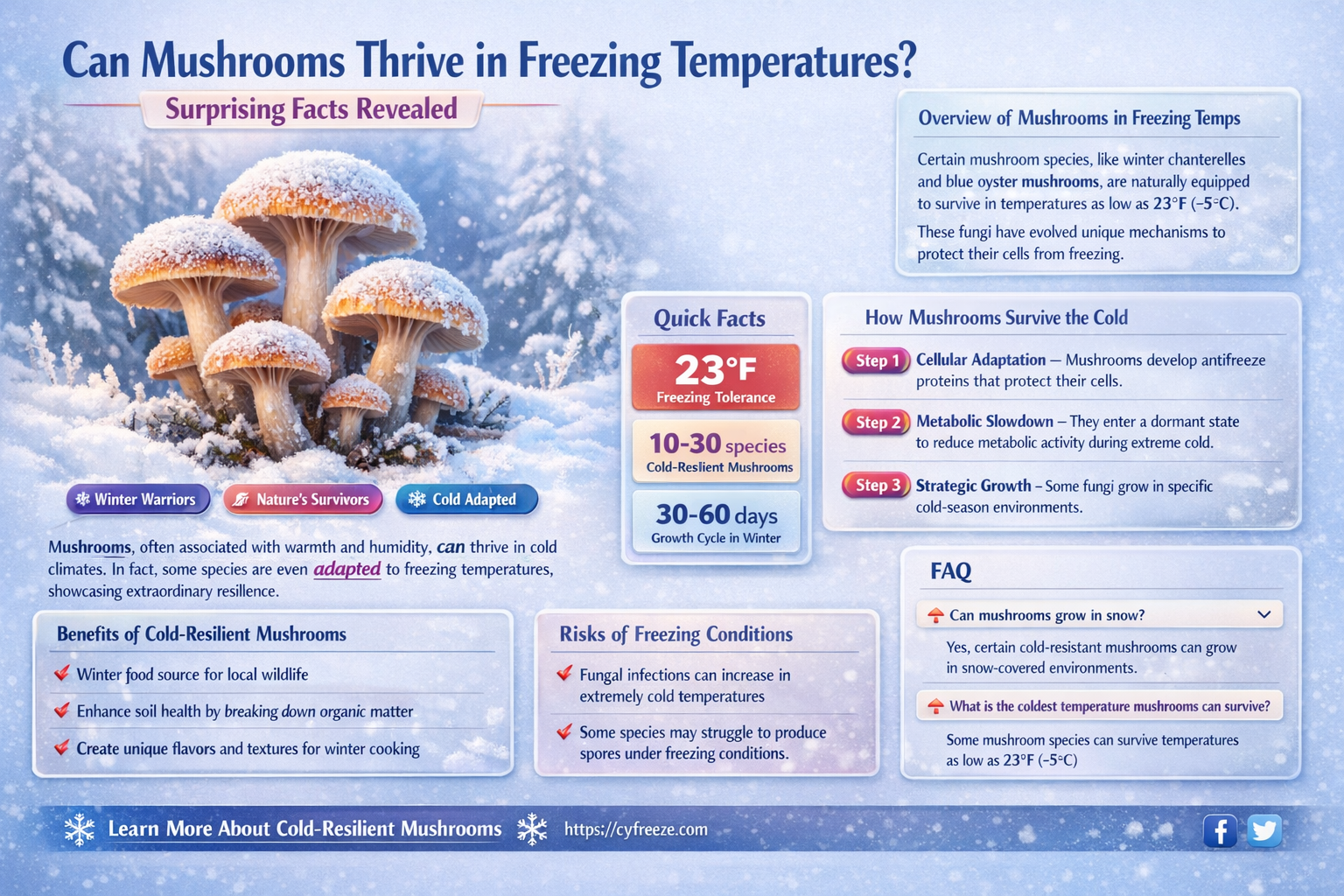 can mushrooms grow in freezing temperatures