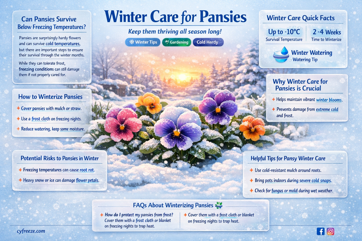 can pansies survive below freezing temperatures