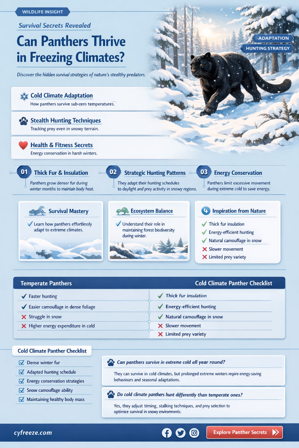 can a panther survive in freezing temperatures