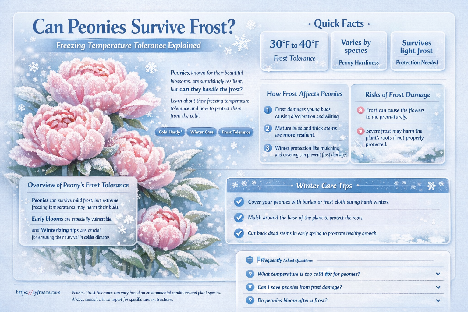 can peonies handle freezing temperatures