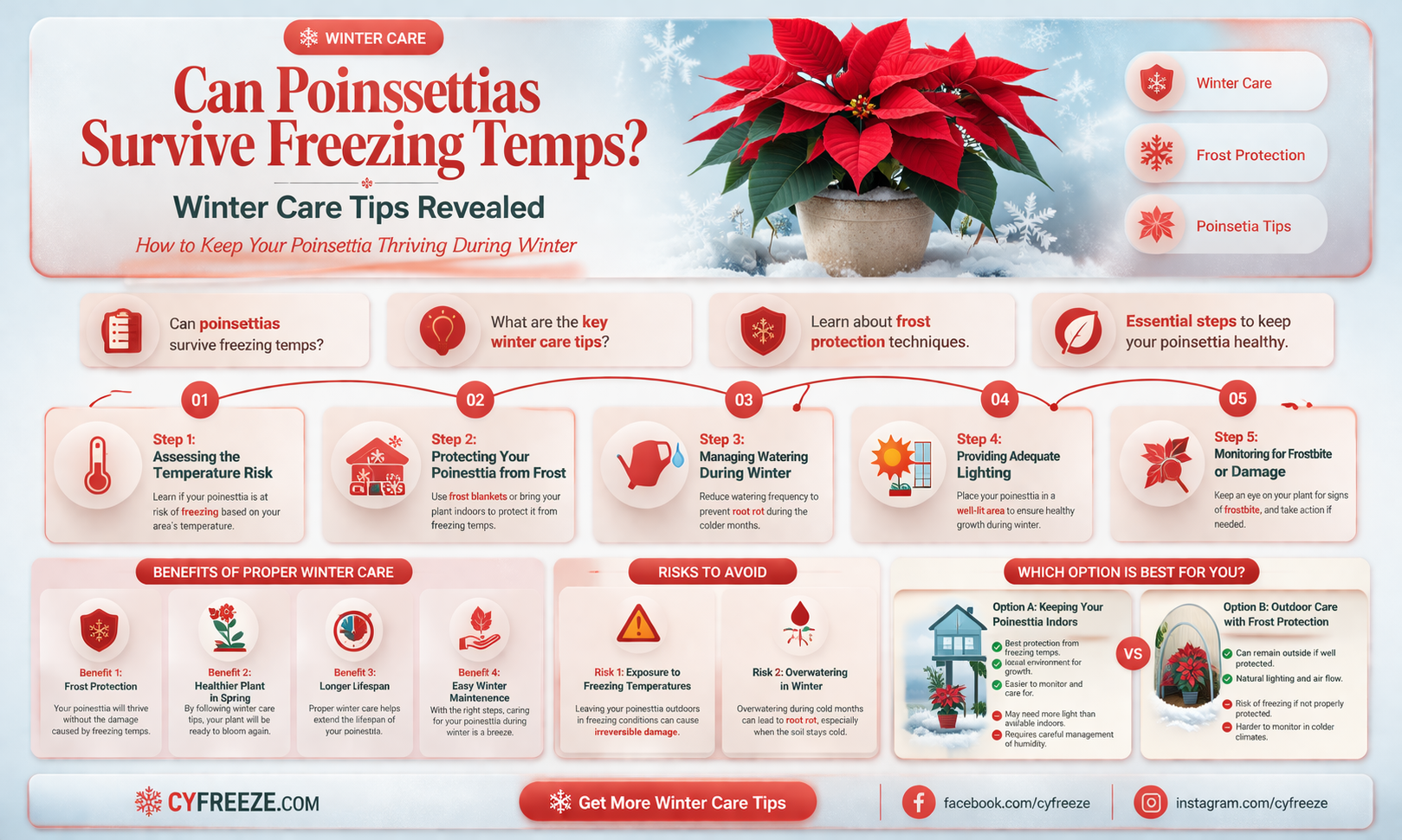 can pointsettias take freezing temperatures