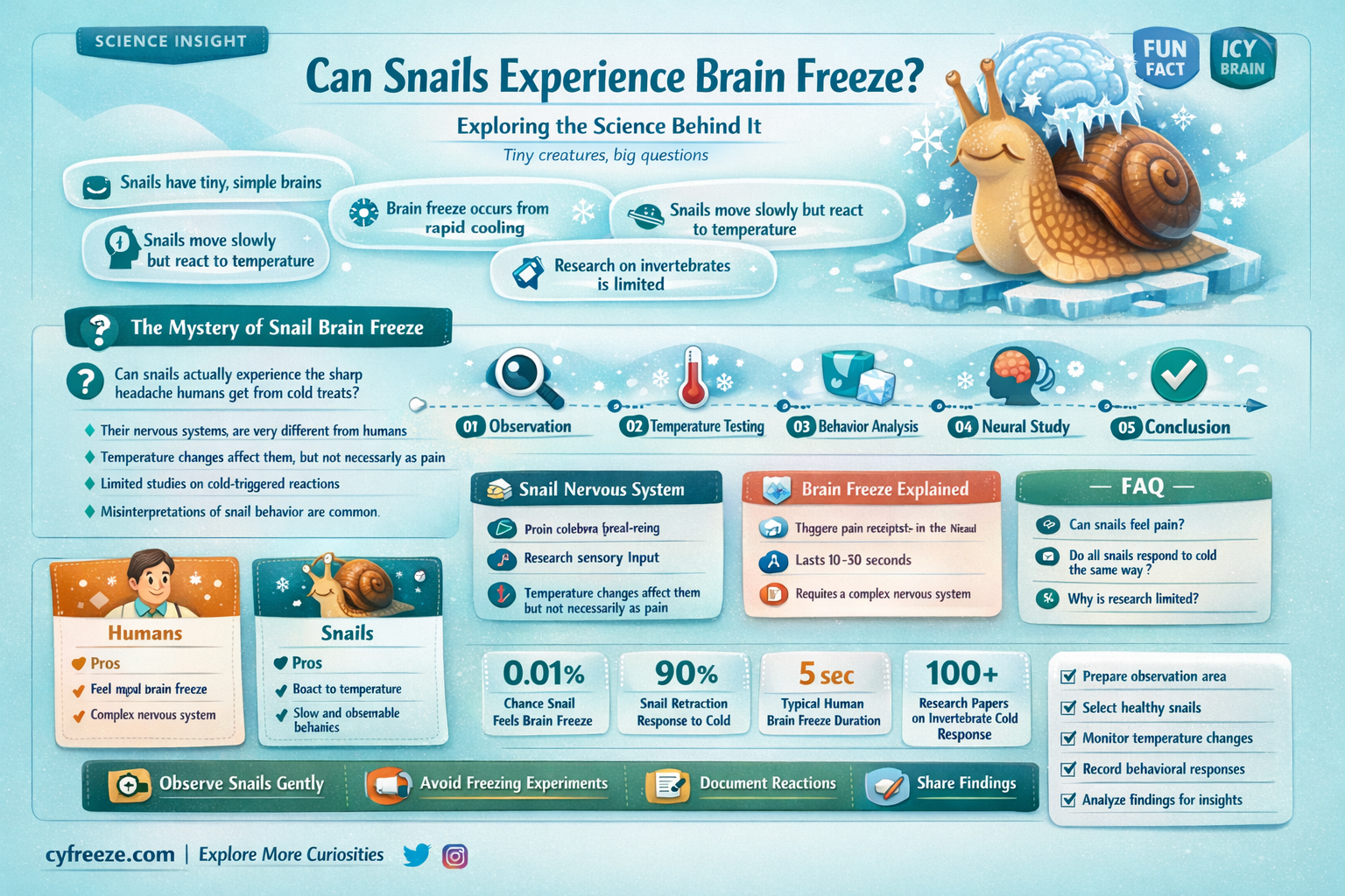 can a snail get a brain freeze