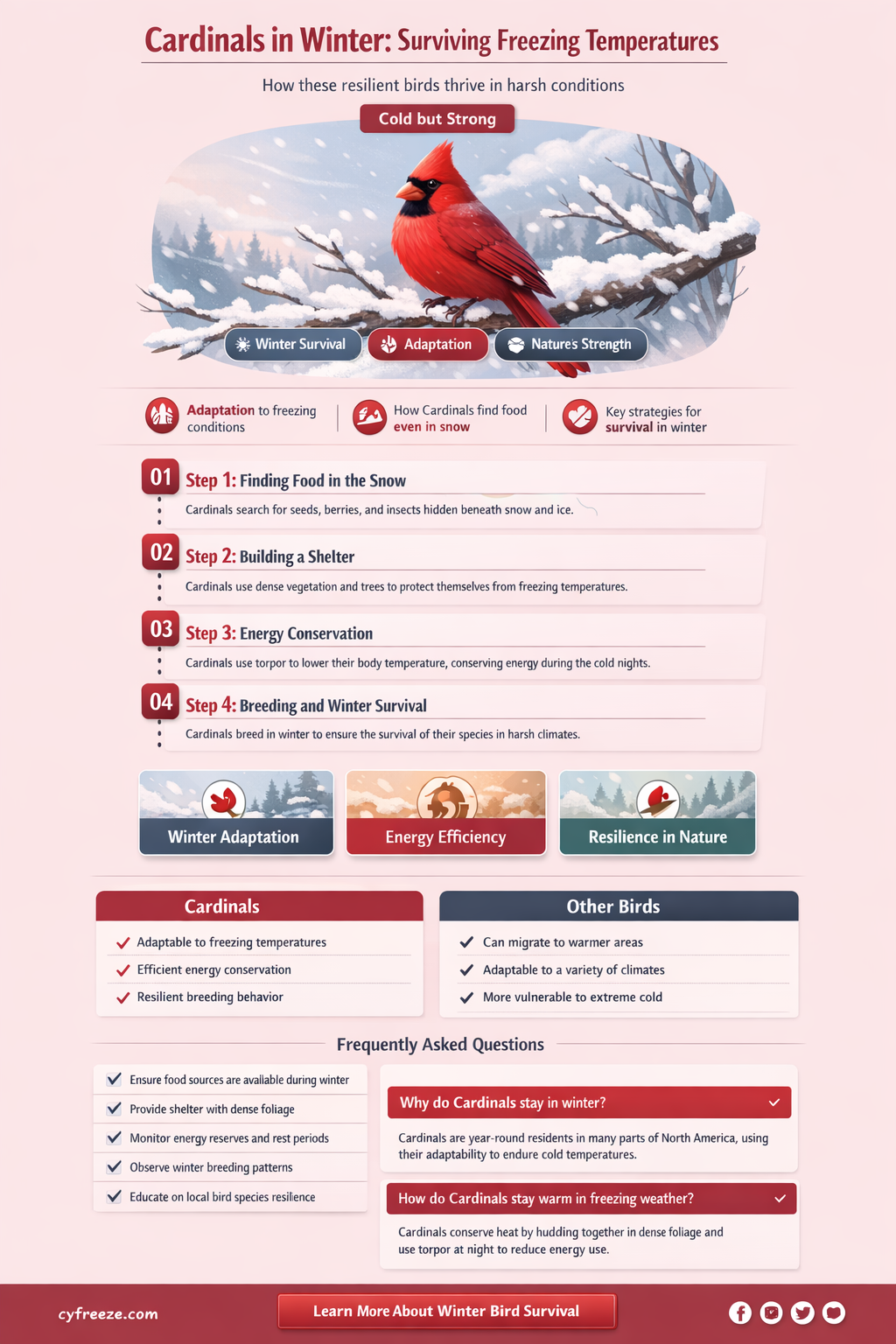 can cardinals survive freezing temperatures