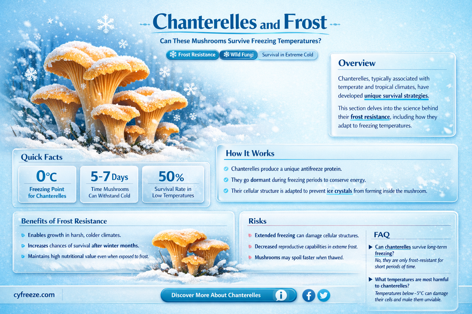 can chanterelles survive freezing temperatures