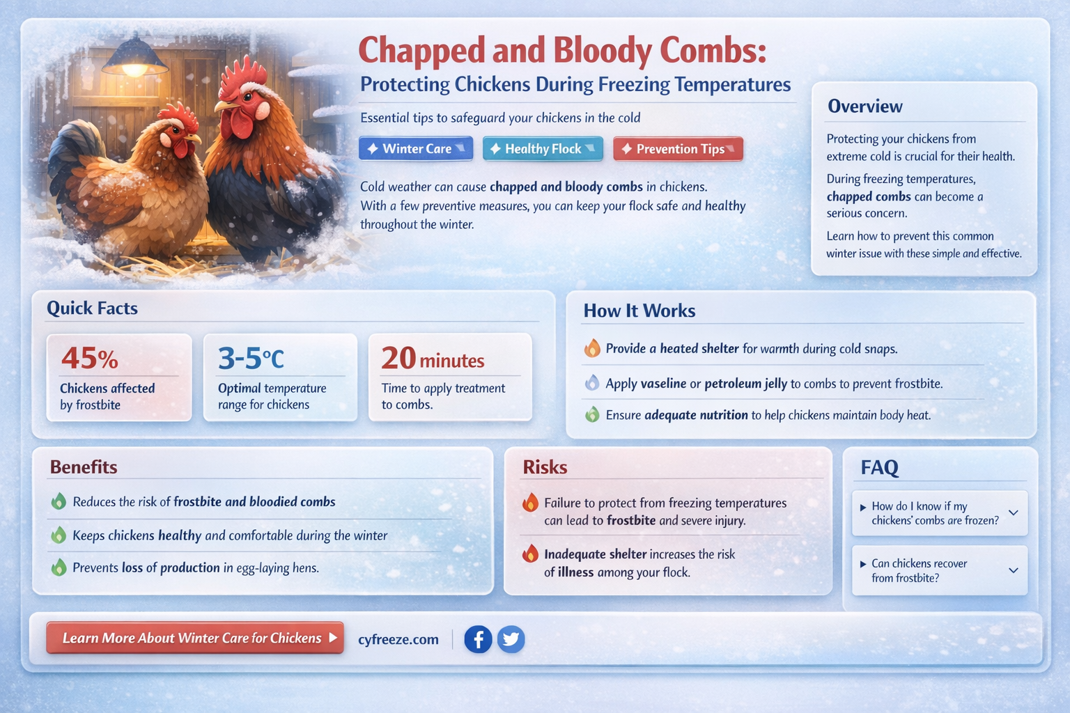 can chickens get chapped bloody combs during a freeze