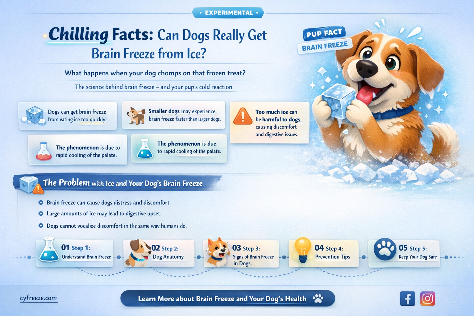 can dogs get brain freeze ice