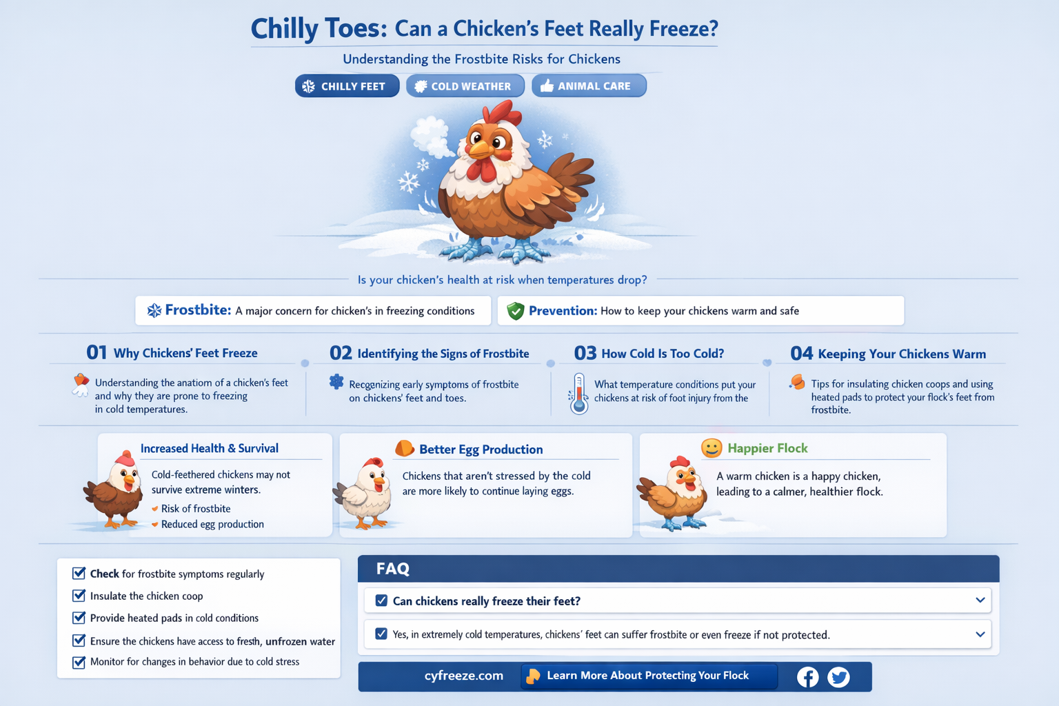 can a chicken