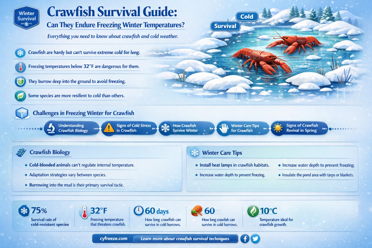 can crawfish survive freezing temperatures