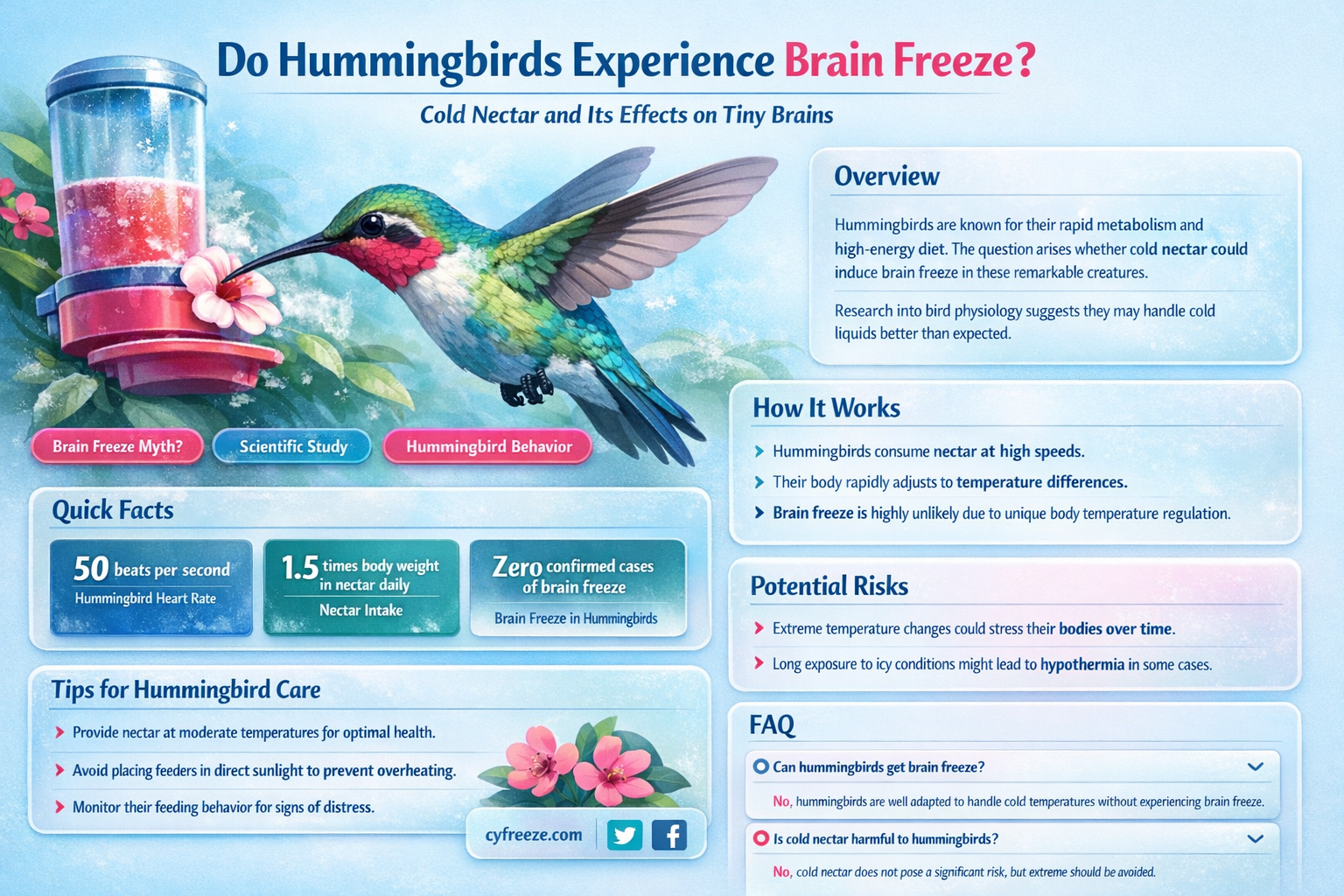 can hummingbirds get brain freeze