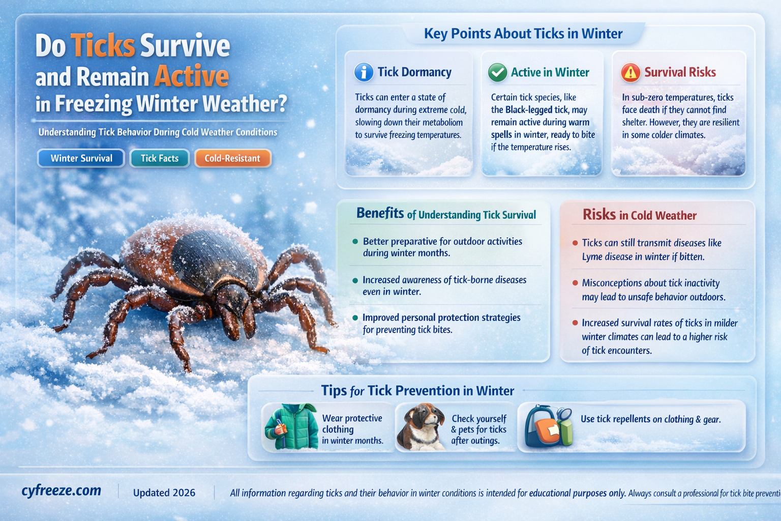 are ticks still active at below freezing temperatures