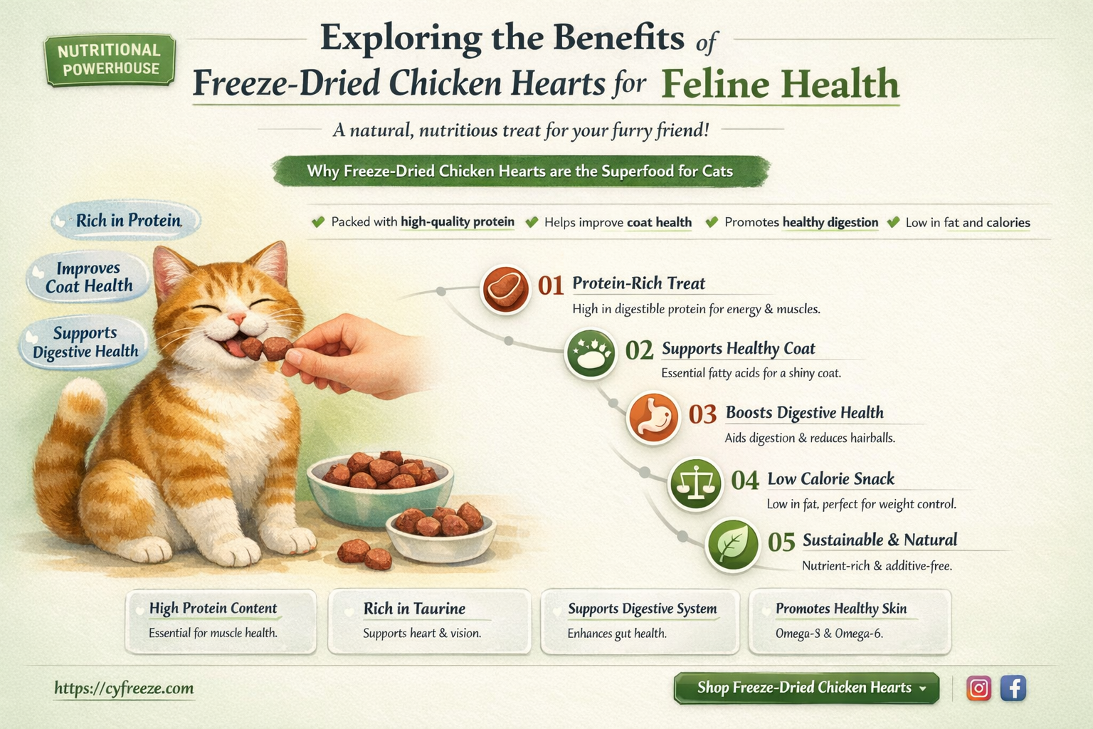 are freeze dried chicken hearts good for cats