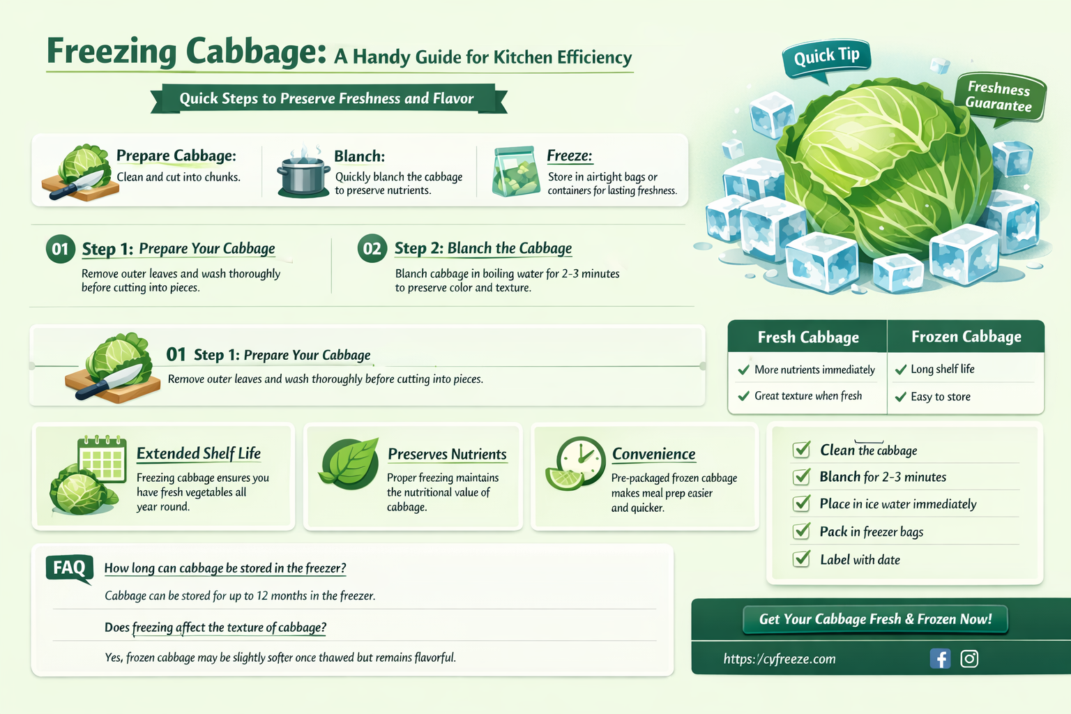 can cabbage be put in the freezer