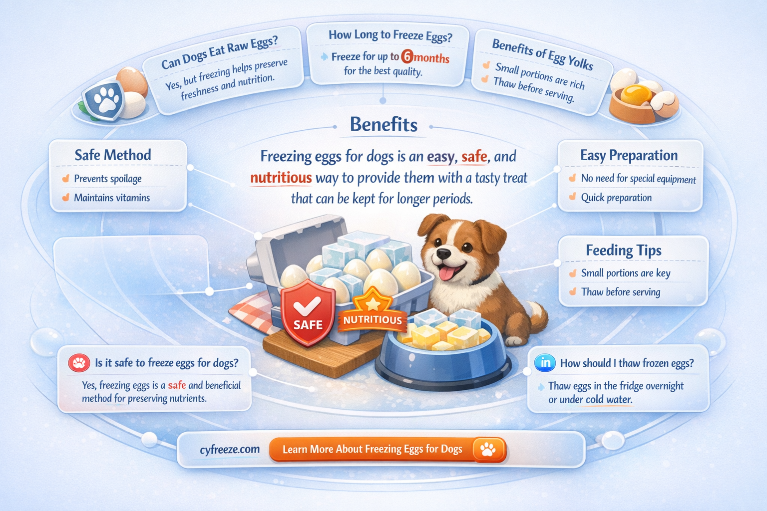 can i freeze eggs to give to dogs