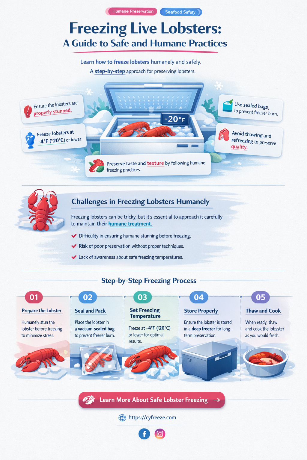 can i put a live lobster in the freezer