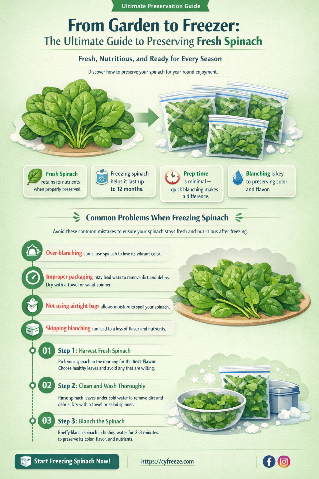 can freeze fresh spinach