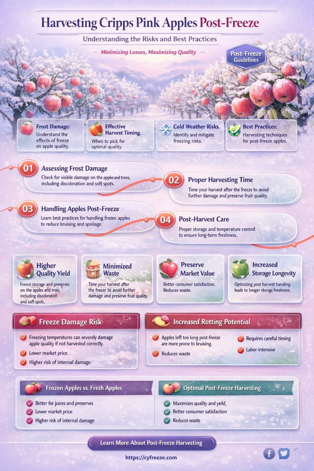 can cripps pink apple be harvested after freezing temperature