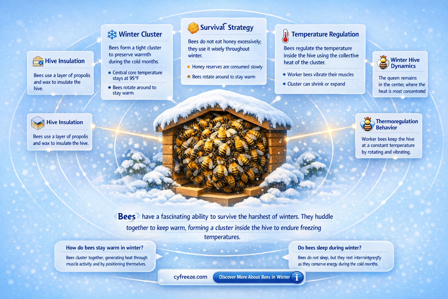 can bees survive freezing temperatures
