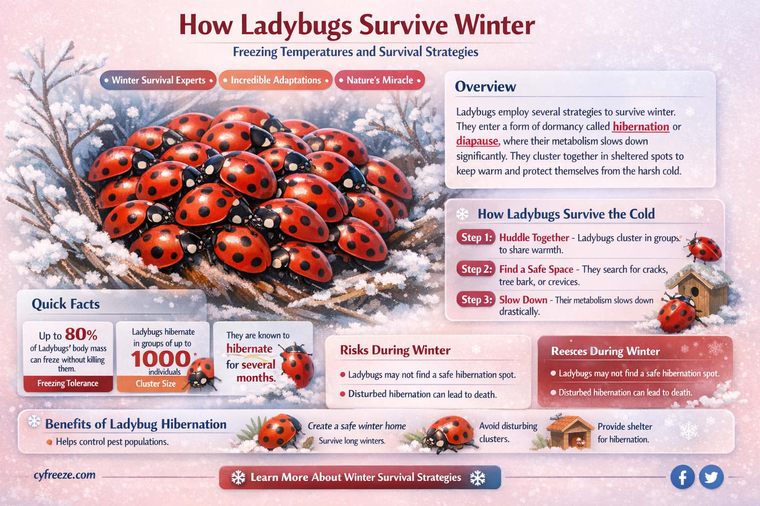can ladybugs survive freezing temperatures