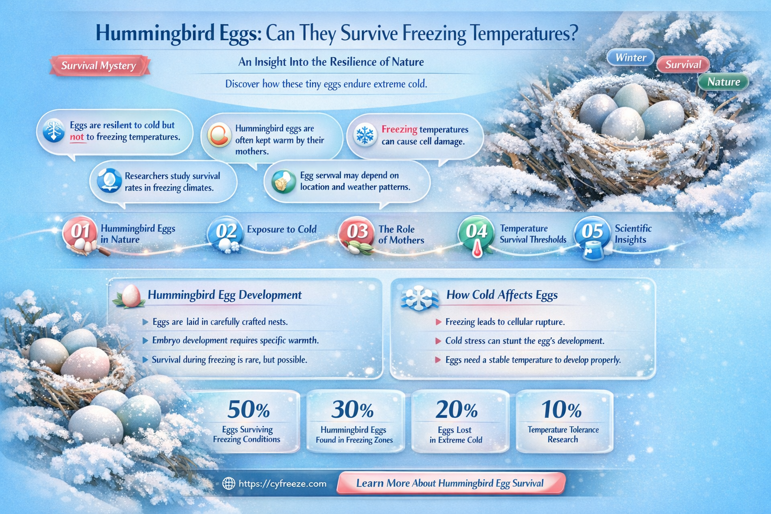can hummingbird eggs survive freezing temp
