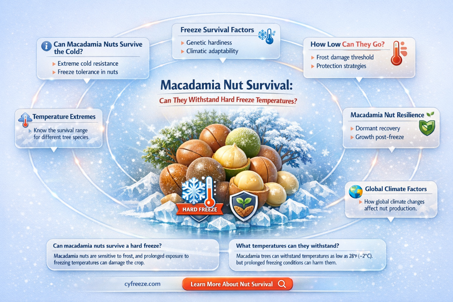 can macadamia nut survive a hard freeze temperature