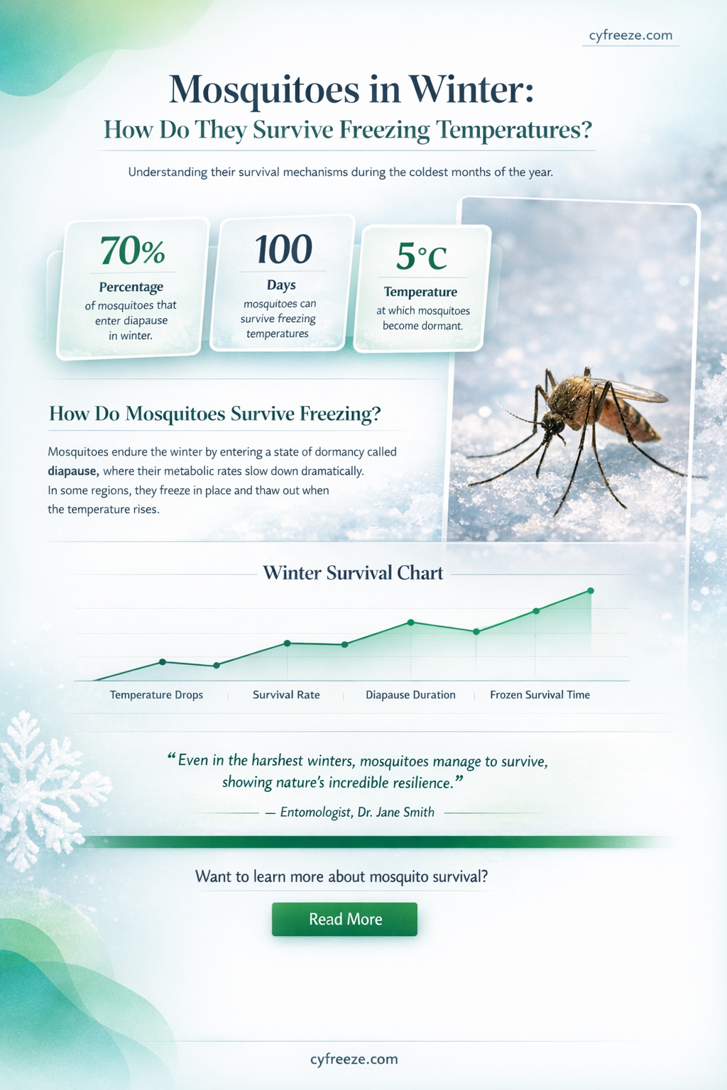 can mosquitoes survive freezing temperatures