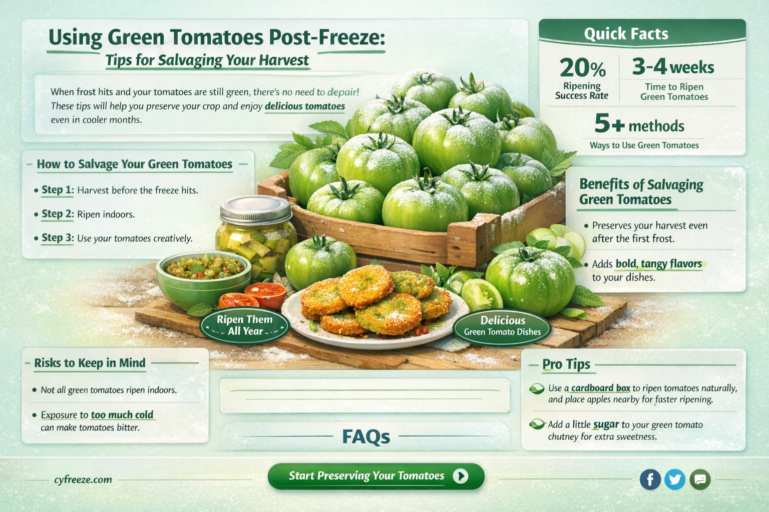 can green tomatoes be used after a hard freeze