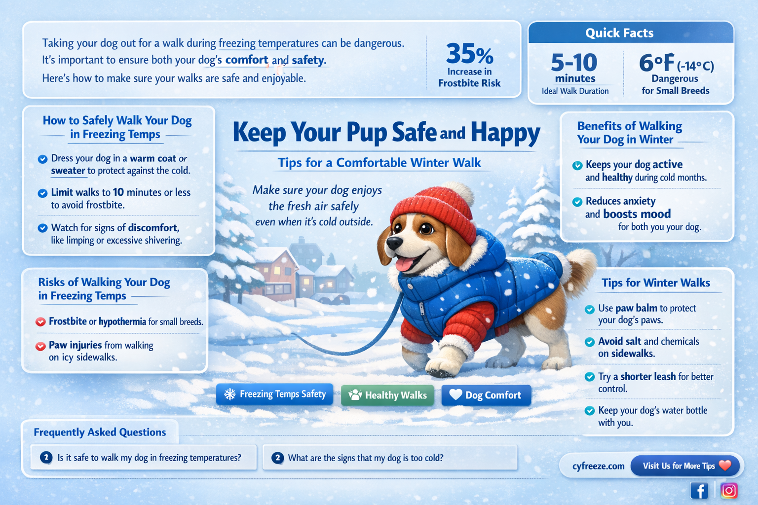 can i walk my dog in freezing temperatures