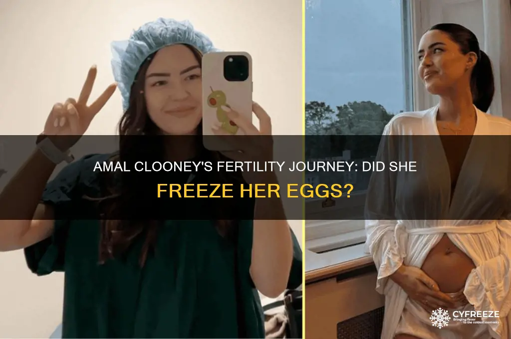 did amal clooney freeze her eggs