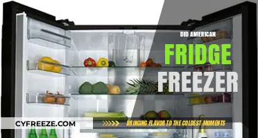 Exploring the Evolution of American Fridge Freezers: A Comprehensive Guide