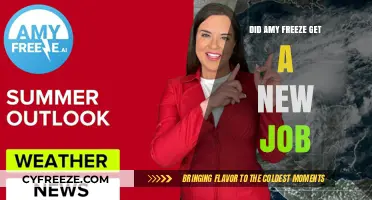Amy Freeze's Career Update: New Job or Staying Put?