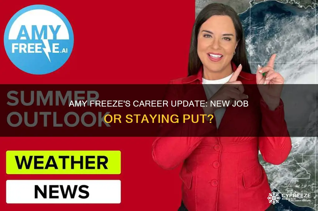 did amy freeze get a new job