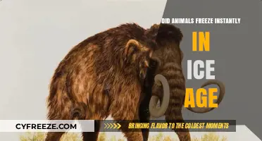 Instant Freeze: Unraveling the Mystery of Animals in the Ice Age