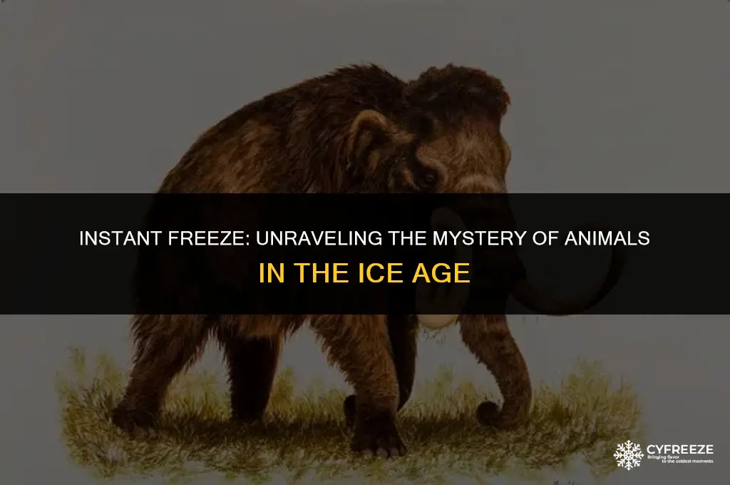 did animals freeze instantly in ice age