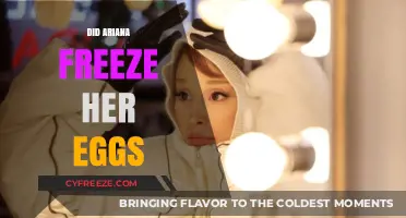 Ariana Grande's Family Planning: Did She Freeze Her Eggs?