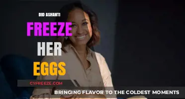Ashanti's Fertility Journey: Did She Freeze Her Eggs?