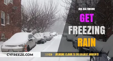 Baltimore's Weather Alert: Freezing Rain Hits the City