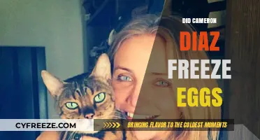 Cameron Diaz Egg Freezing: Fact-Checking the Rumors and Speculations