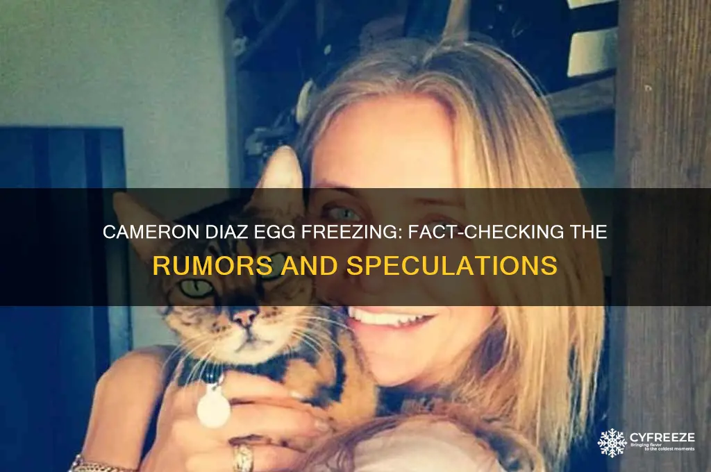 did cameron diaz freeze eggs